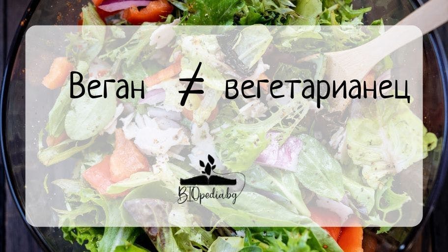 Разлика между веган и вегетарианец